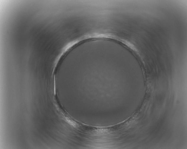 X0000066971223200604072022