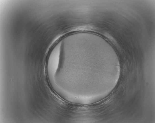 X0000066971224200604072022