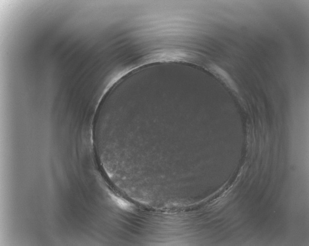 X0000066971226200604072022