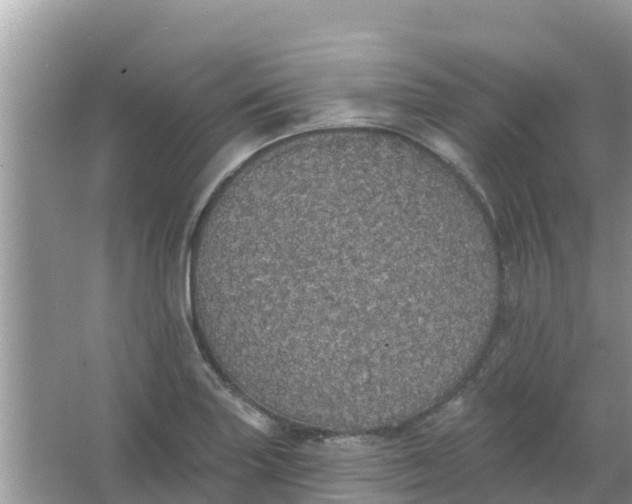 X0000066971227200604072022