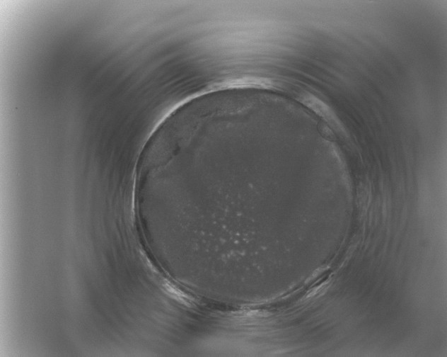 X0000066971228200604072022