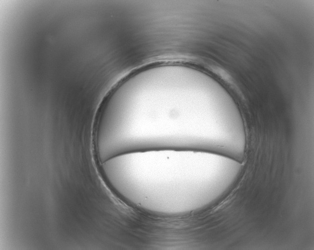 X0000066971229200604072022