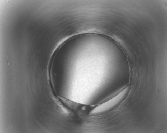 X0000066971230200604072022