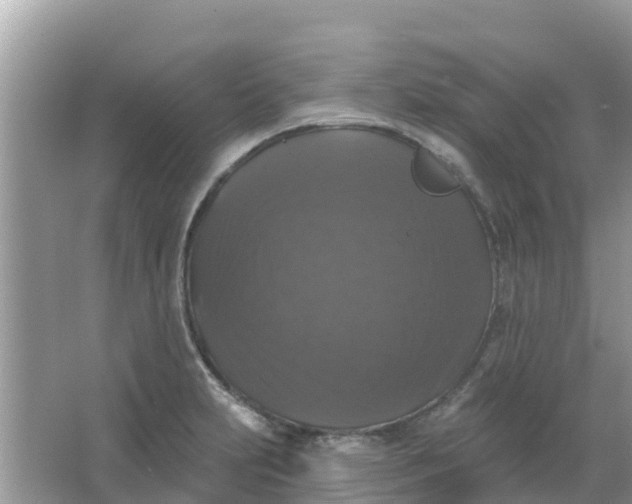 X0000066971231200604072022