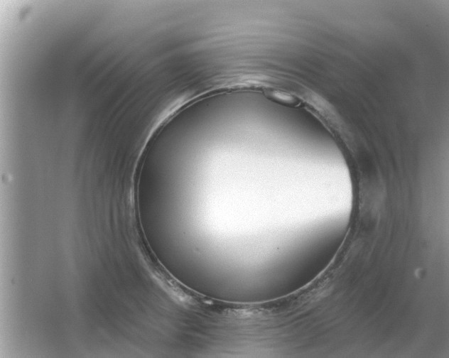 X0000066971234200604072022