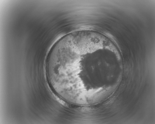 X0000066971235200604072022