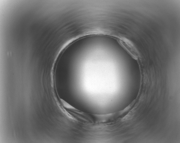 X0000066971238200604072022