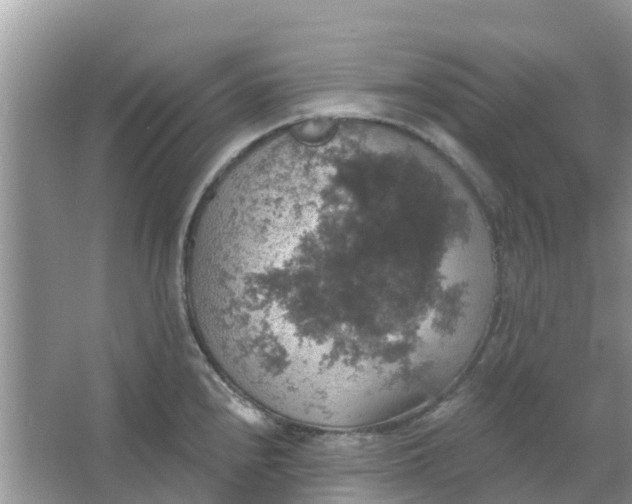 X0000066971240200604072022