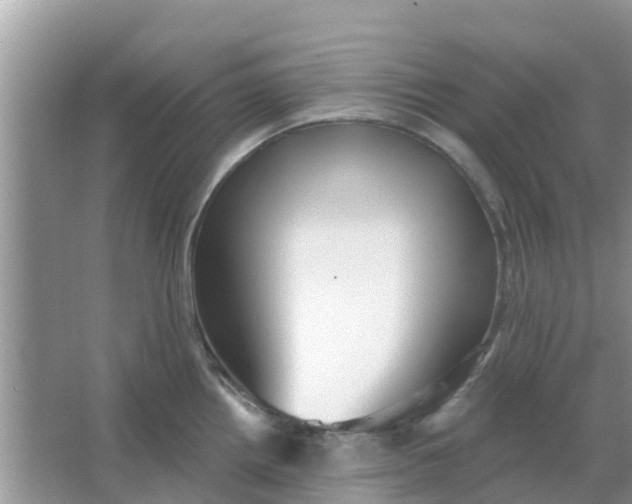 X0000066971242200604072022