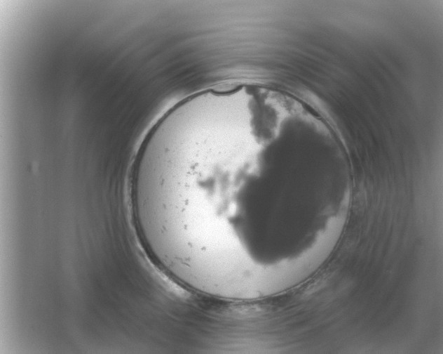 X0000066971243200604072022