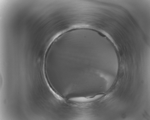 X0000066971245200604072022