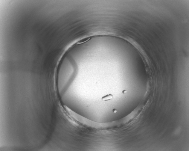 X0000066971246200604072022