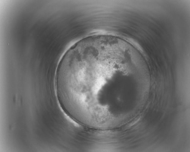 X0000066971247200604072022