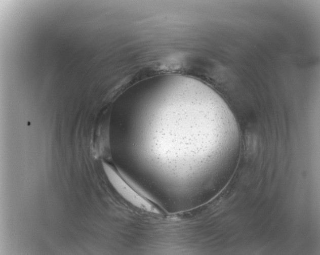 X0000066971250200604072021