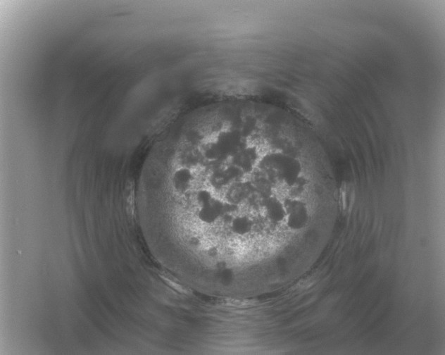 X0000066971251200604072021