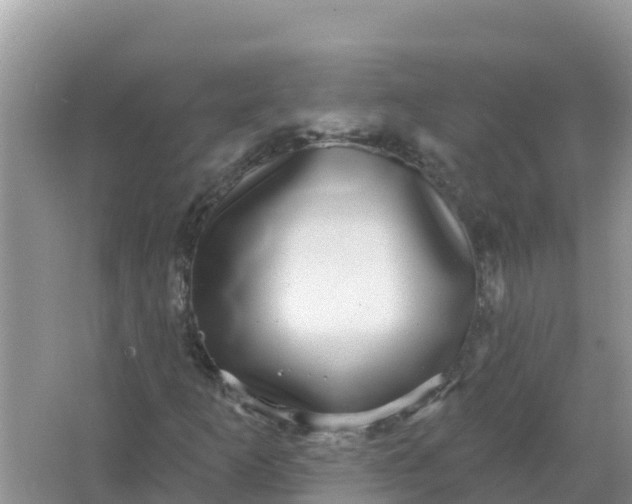 X0000066971253200604072021