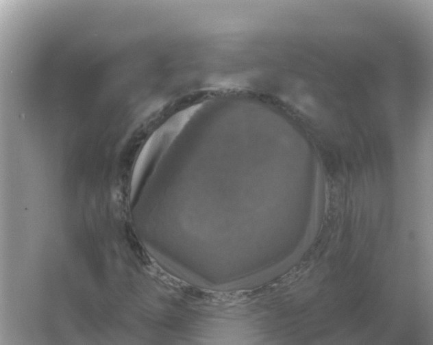 X0000066971254200604072021