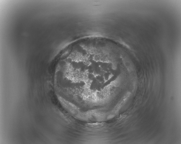 X0000066971255200604072021