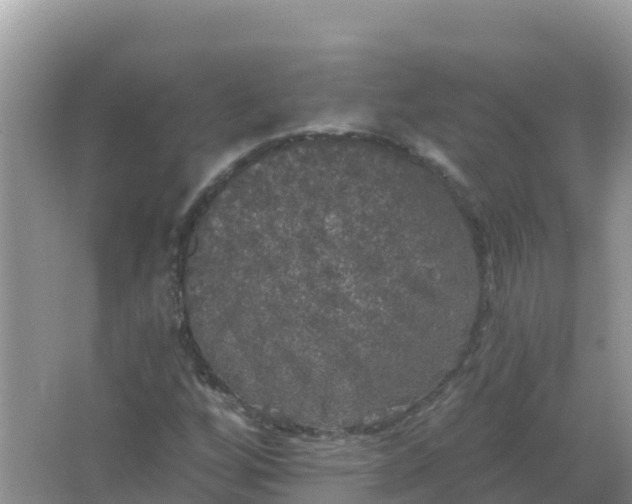 X0000066971256200604072021