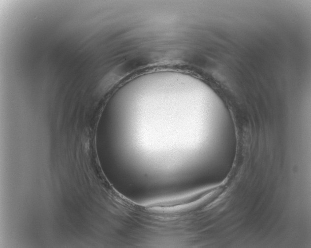 X0000066971257200604072021