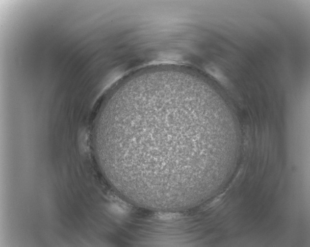 X0000066971258200604072021