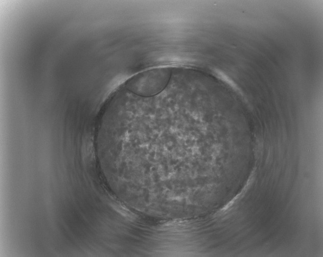 X0000066971259200604072021