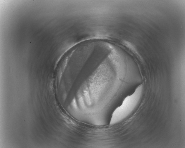 X0000066971260200604072021