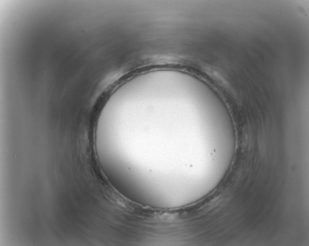 X0000066971261200604072021