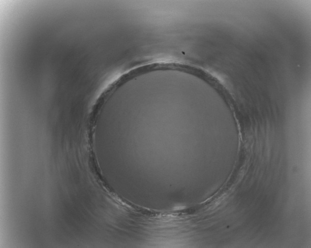 X0000066971263200604072021