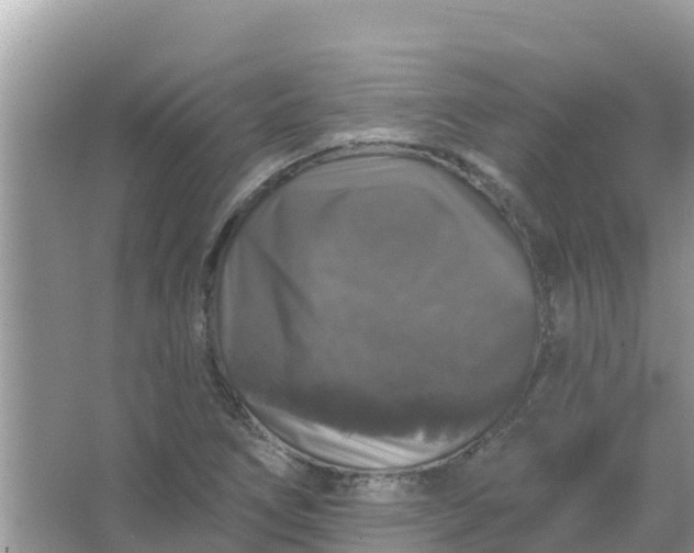 X0000066971266200604072021