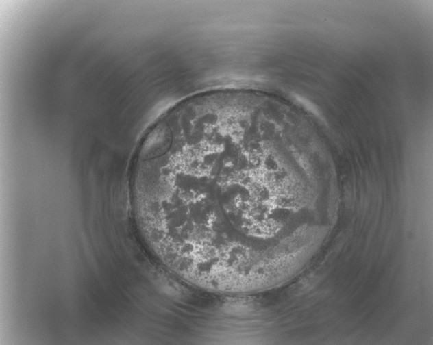 X0000066971267200604072021