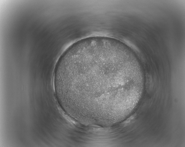 X0000066971272200604072021