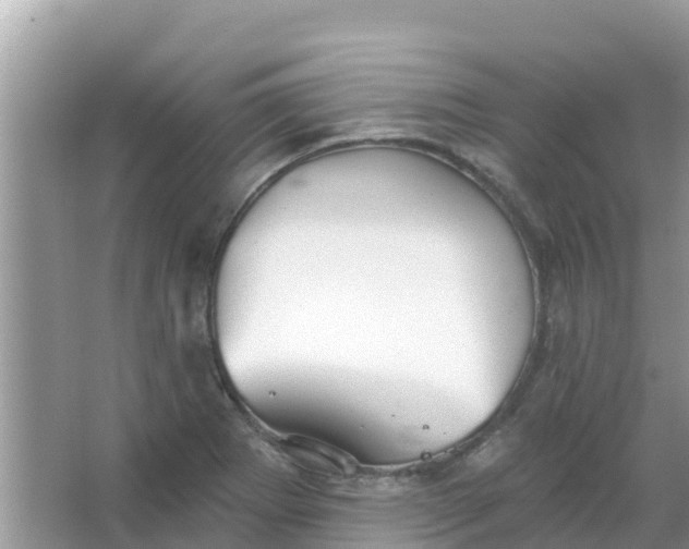 X0000066971273200604072021