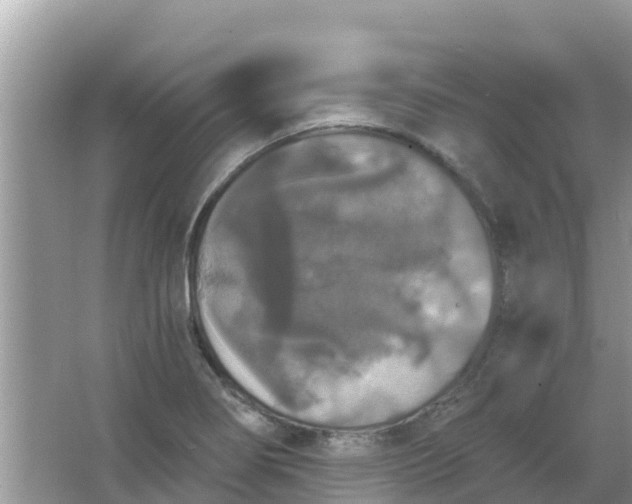 X0000066971274200604072021