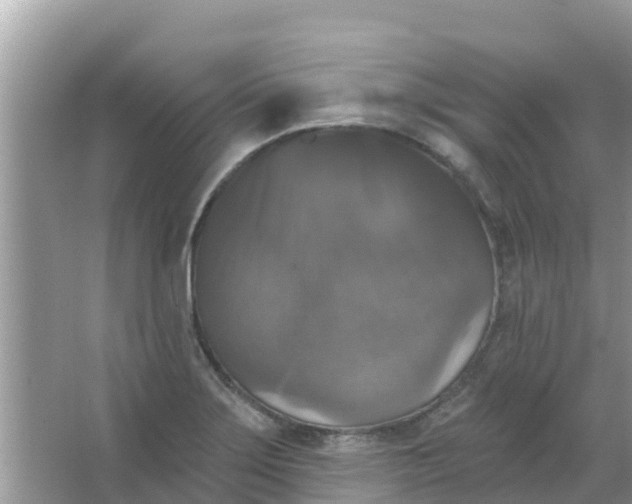 X0000066971275200604072021