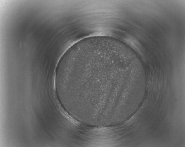 X0000066971276200604072021