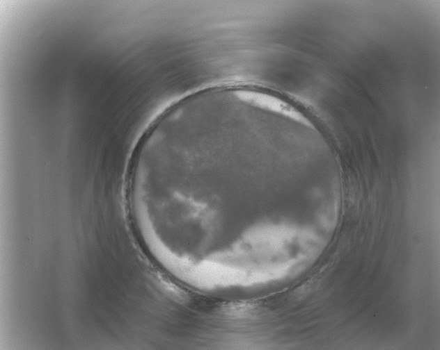 X0000066971278200604072021