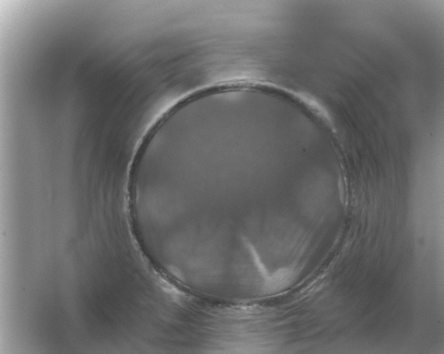 X0000066971279200604072021