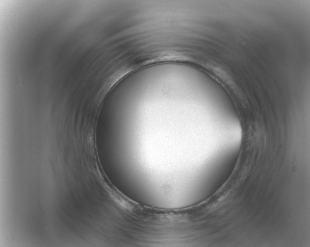 X0000066971281200604072021