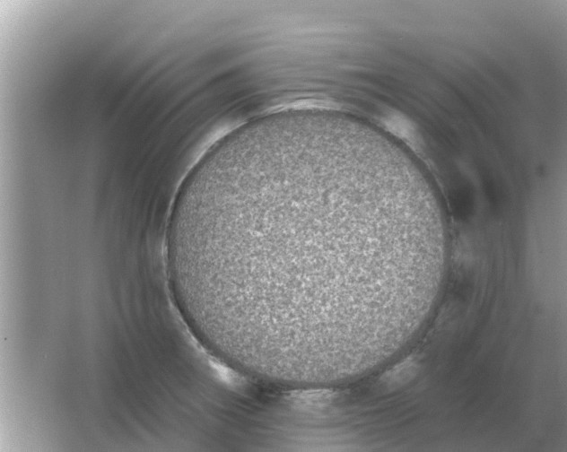 X0000066971282200604072021