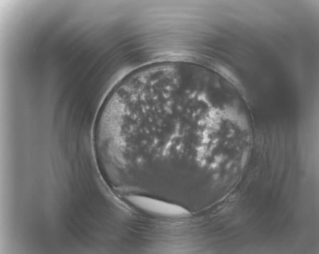 X0000066971283200604072021