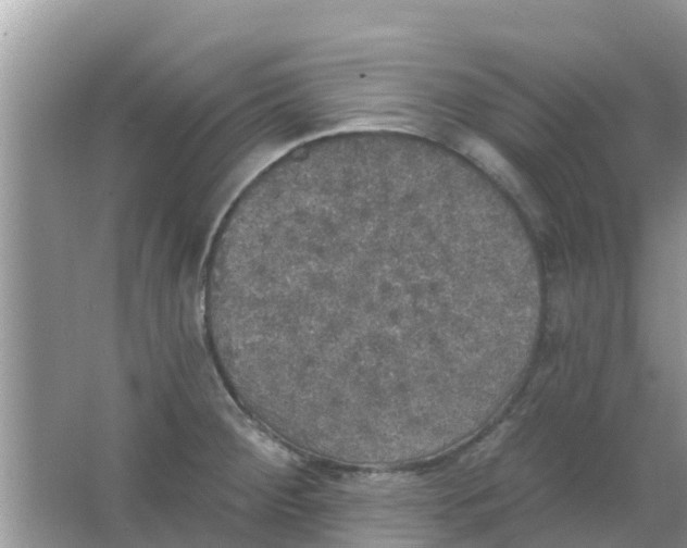 X0000066971284200604072021