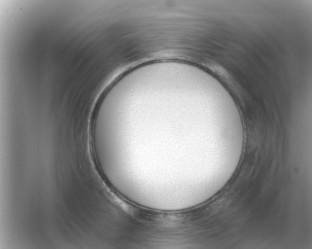 X0000066971286200604072021