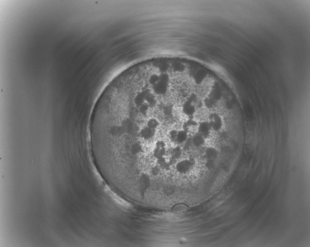 X0000066971287200604072021