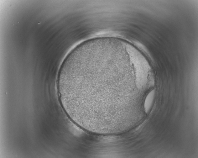 X0000066971288200604072021