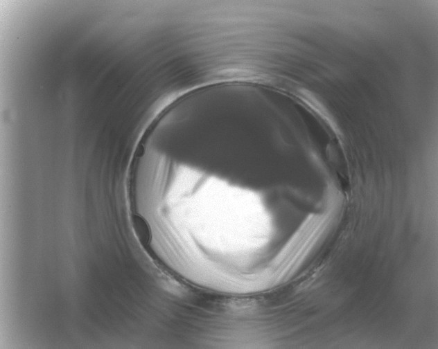 X0000066971291200604072020