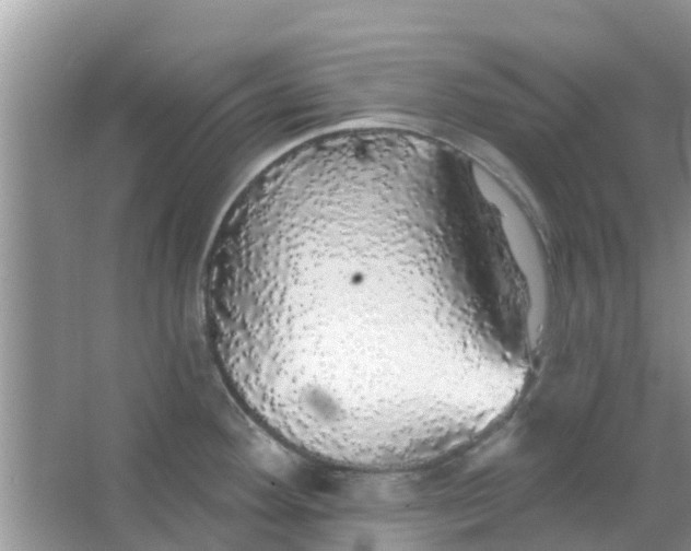 X0000066971292200604072020