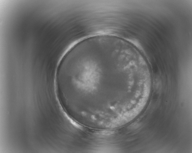 X0000066971294200604072020