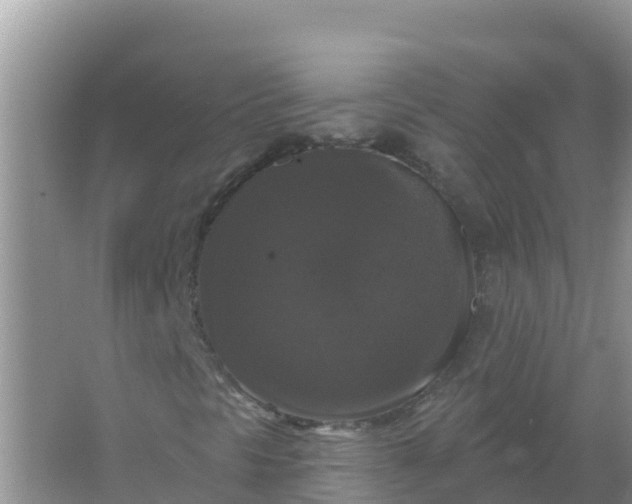 X0000066971297200604072020