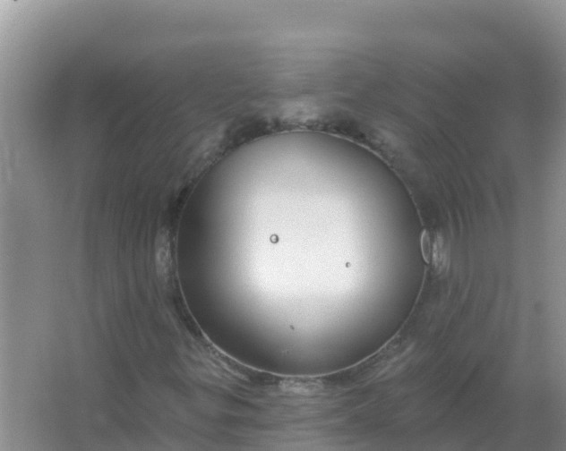 X0000066971299200604072020